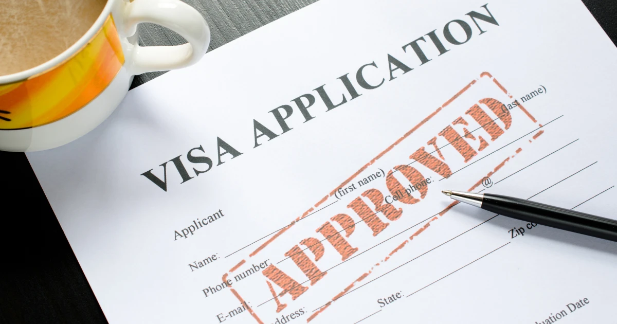 Bachelor’s and Diploma Courses